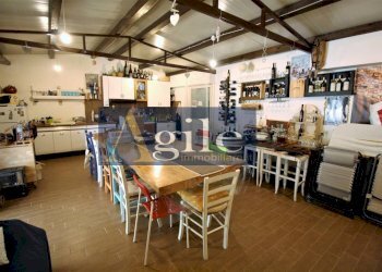 Foto 2 - Terreno agricolo Contrada Casale Inferiore, Colli del Tronto - foto 2