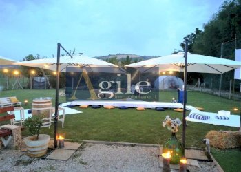 Foto 3 - Terreno agricolo Contrada Casale Inferiore, Colli del Tronto - foto 3