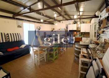 Foto 5 - Terreno agricolo Contrada Casale Inferiore, Colli del Tronto - foto 5