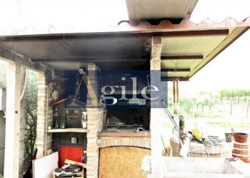 Foto 8 - Terreno agricolo Contrada Casale Inferiore, Colli del Tronto - foto 8