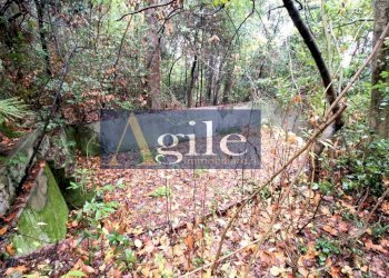 Foto 4 - Villa VIA DELLA STAZIONE, Colli del Tronto - foto 4