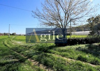 Foto 19 - Casa indipendente VIA VAL D'ASO, Montefiore dell'Aso - foto 19