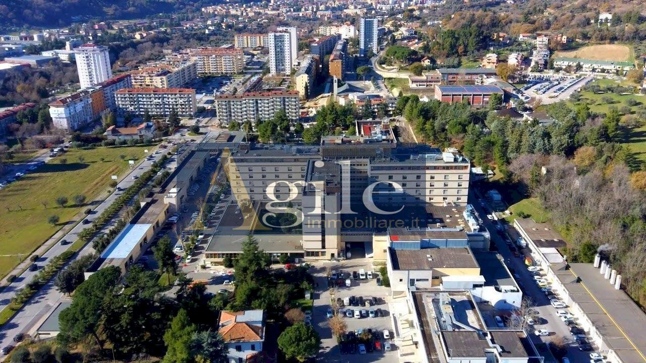 Foto 3 - Quadrilocale VIA DELLE BEGONIE, Ascoli Piceno - foto 3