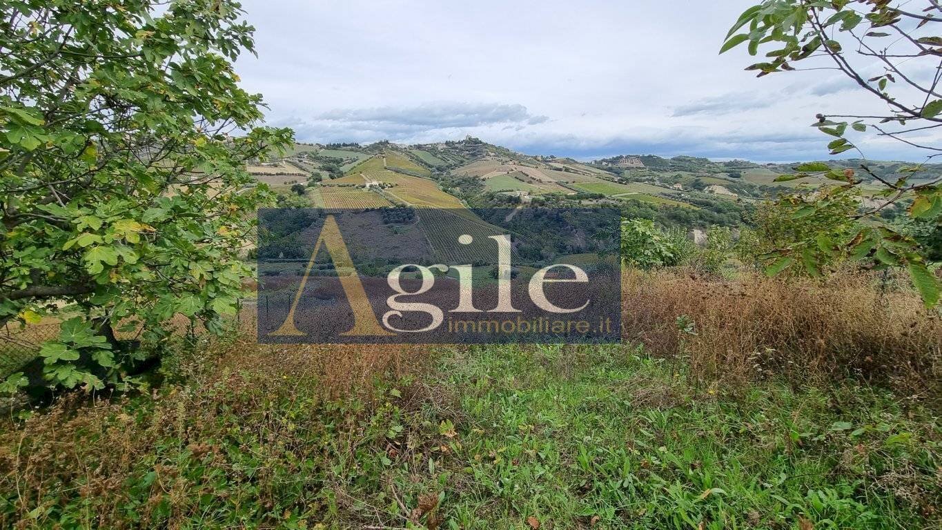 Foto 1 - Agricultural land VIA COLLE APPESO, Monteprandone - photo 1