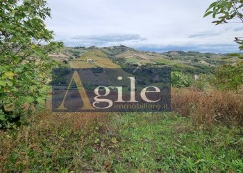 Foto 1 - Agricultural land VIA COLLE APPESO, Monteprandone - photo 1