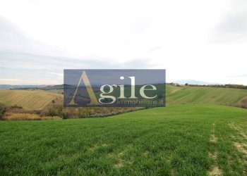 Foto 11 - Rustico contrada montetinello, Monteprandone - foto 11