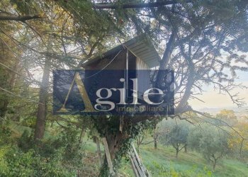 Foto 36 - Villa via truentina, Colonnella - foto 36