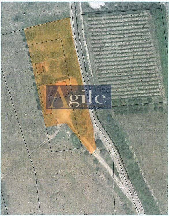 Foto 9 - Rustic contrada spiagge, Monteprandone - floor plans 1