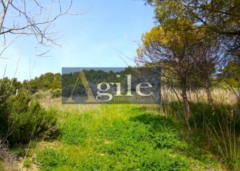 Foto 9 - Rustico contrada monte aquilino, Monteprandone - foto 9