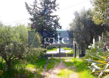 Foto 20 - Rustico contrada monte aquilino, Monteprandone - foto 19