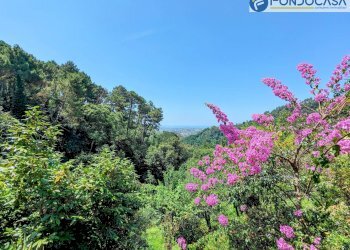 vista mare - Villa Via Albetreta, Pietrasanta - foto 33