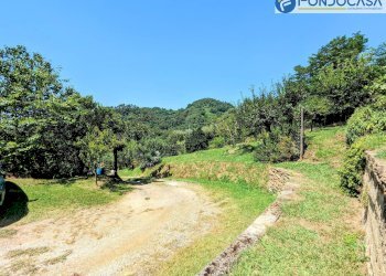 strada privata - Villa Via Albetreta, Pietrasanta - foto 34