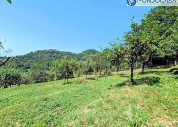 terreno - Villa Via Albetreta, Pietrasanta - foto 37