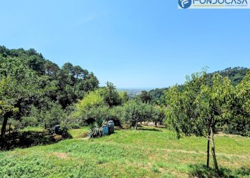 strada privata - Villa Via Albetreta, Pietrasanta - foto 38