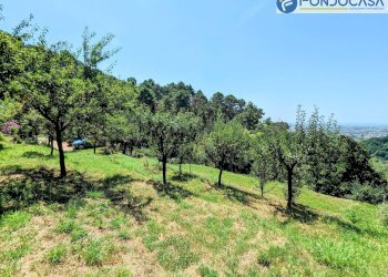 terreno - Villa Via Albetreta, Pietrasanta - foto 40