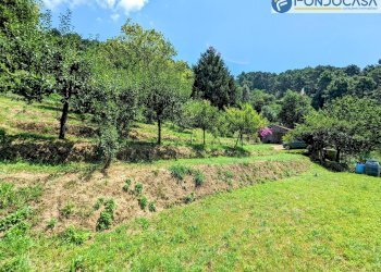 terreno - Villa Via Albetreta, Pietrasanta - foto 41