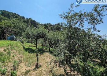 terreno - Villa Via Albetreta, Pietrasanta - foto 42