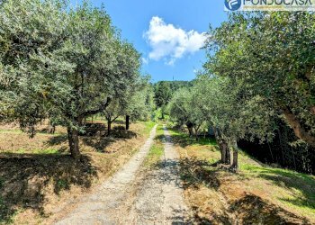 strada privata - Villa Via Albetreta, Pietrasanta - foto 43