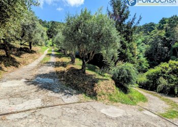 strada privata - Villa Via Albetreta, Pietrasanta - foto 44