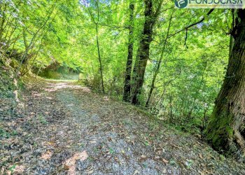 seconda strada ingresso - Villa Via Albetreta, Pietrasanta - foto 46