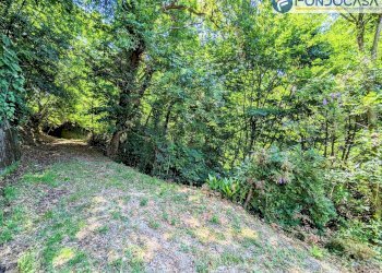 seconda strada ingresso - Villa Via Albetreta, Pietrasanta - foto 47