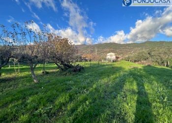 affaccio esterno - Villa via fonda, Pietrasanta - foto 30