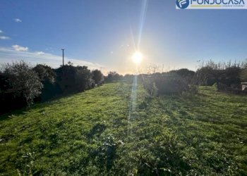 affaccio esterno - Villa via fonda, Pietrasanta - foto 31