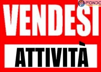 Foto 2 - Attività Commerciale Pietrasanta - foto 2