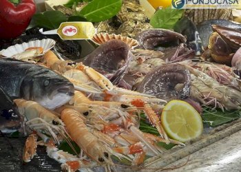 Foto 15 - Attività Commerciale Pietrasanta - foto 15