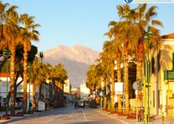 Foto 18 - Attività Commerciale Pietrasanta - foto 18