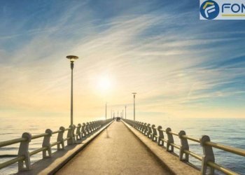 Foto 20 - Attività Commerciale Pietrasanta - foto 20