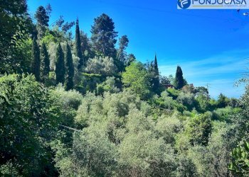 esterno - Villa Via dei Salesiani, Pietrasanta - foto 56