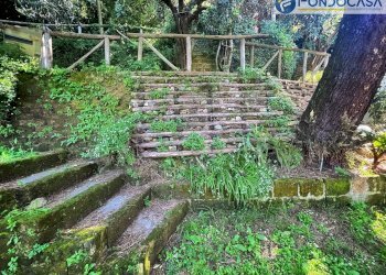 giardino - Villa Via dei Salesiani, Pietrasanta - foto 57