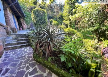 giardino - Villa Via dei Salesiani, Pietrasanta - foto 58