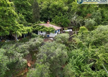 Drone esterno - Villa Via dei Salesiani, Pietrasanta - foto 70