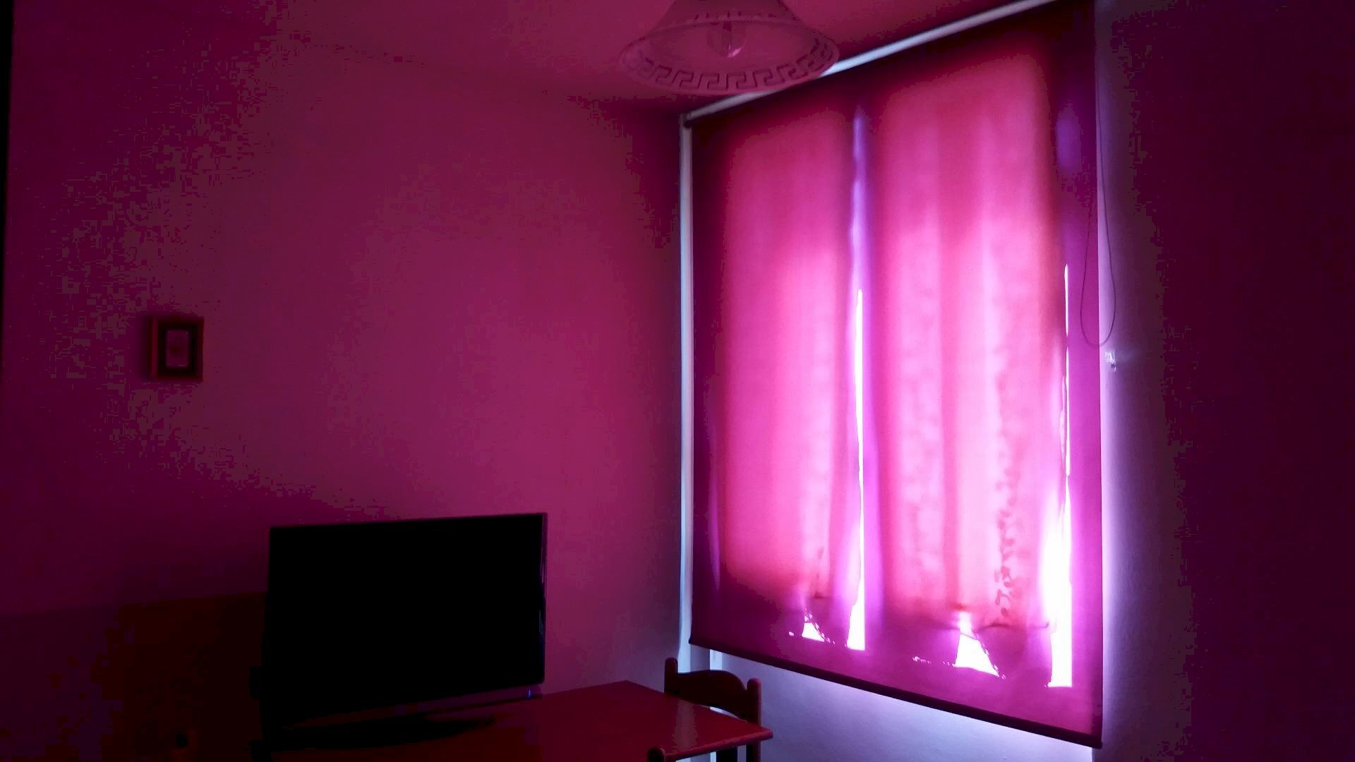 Foto 3 - Appartamento Via Italo Bargagna, Pisa - foto 3