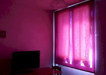 Foto 3 - Appartamento Via Italo Bargagna, Pisa - foto 3