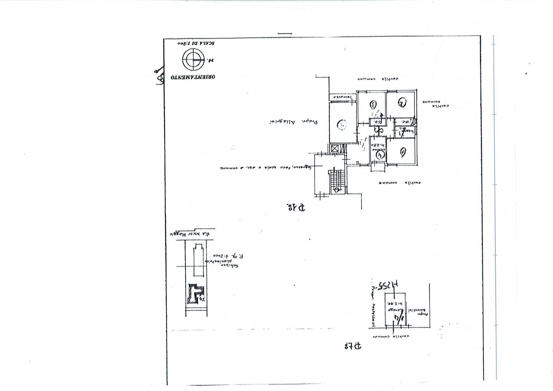 Foto 13 - Terreno non edificabile Via Cecco Di Pietro, Pisa - planimetria 1