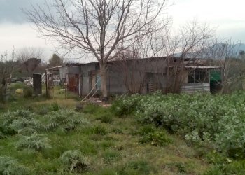 Foto 5 - Terreno agricolo via dei sepolcri
 
2, Pisa - foto 5