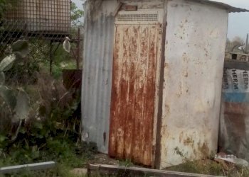 Foto 6 - Terreno agricolo via dei sepolcri
 
2, Pisa - foto 6