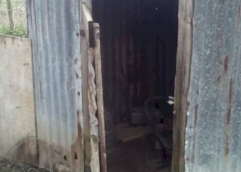 Foto 7 - Terreno agricolo via dei sepolcri
 
2, Pisa - foto 7