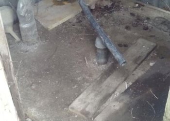 Foto 8 - Terreno agricolo via dei sepolcri
 
2, Pisa - foto 8