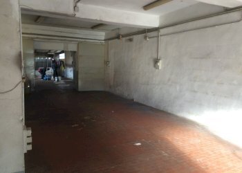 Foto 3 - Attività Commerciale Via Carlo Cattaneo
 
1, Pisa - foto 3