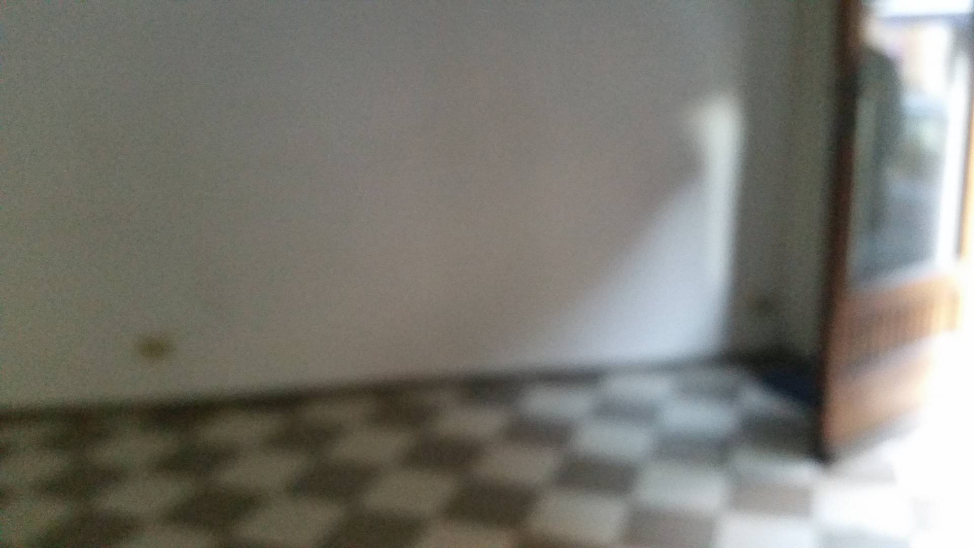 Foto 2 - Attività Commerciale Via Giuseppe Garibaldi, Pisa - foto 2