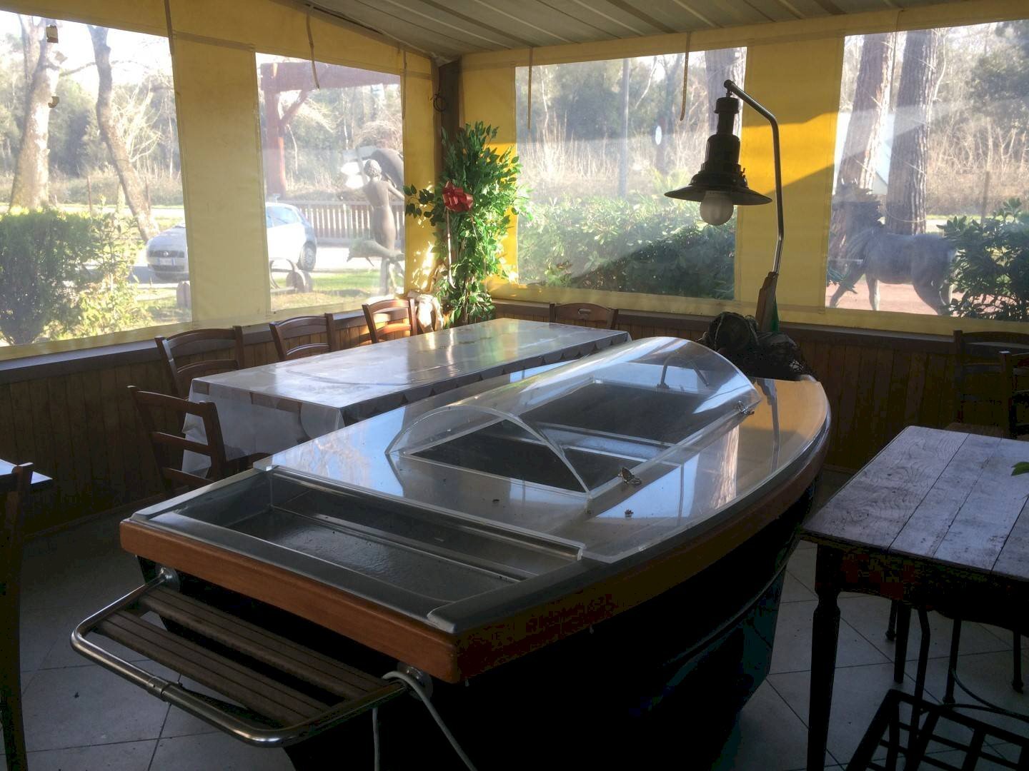 Foto 3 - Attività Commerciale Viale Del Tirreno, Pisa - foto 3