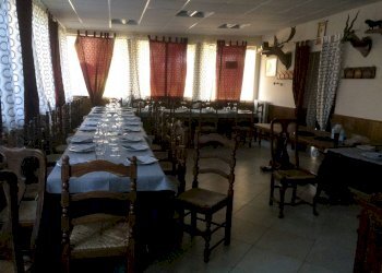 Foto 4 - Attività Commerciale Viale Del Tirreno, Pisa - foto 4