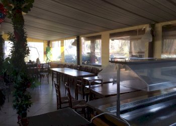 Foto 7 - Attività Commerciale Viale Del Tirreno, Pisa - foto 7