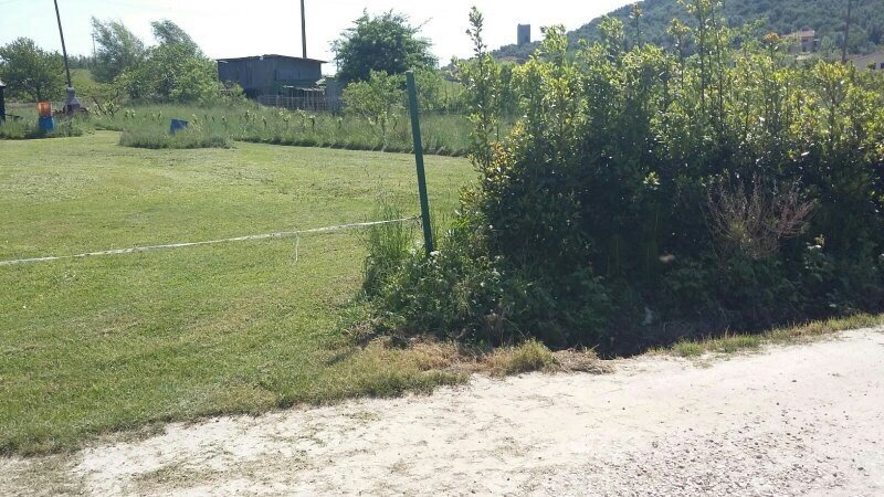 Foto 1 - Terreno agricolo Via Carlo Matteucci, Pisa - foto 1