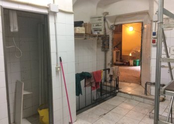 Foto 2 - Attività Commerciale Piazza Chiara Gambacorti, Pisa - foto 2