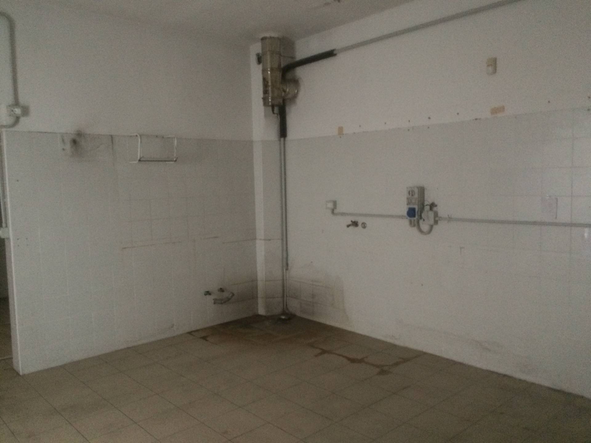 Foto 3 - Commercial Activity via dei pardella, Vecchiano - photo 3